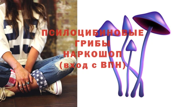 гидропоника Вязники