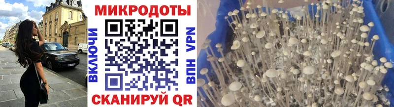 Псилоцибиновые грибы ЛСД  Купить  Лаишево 